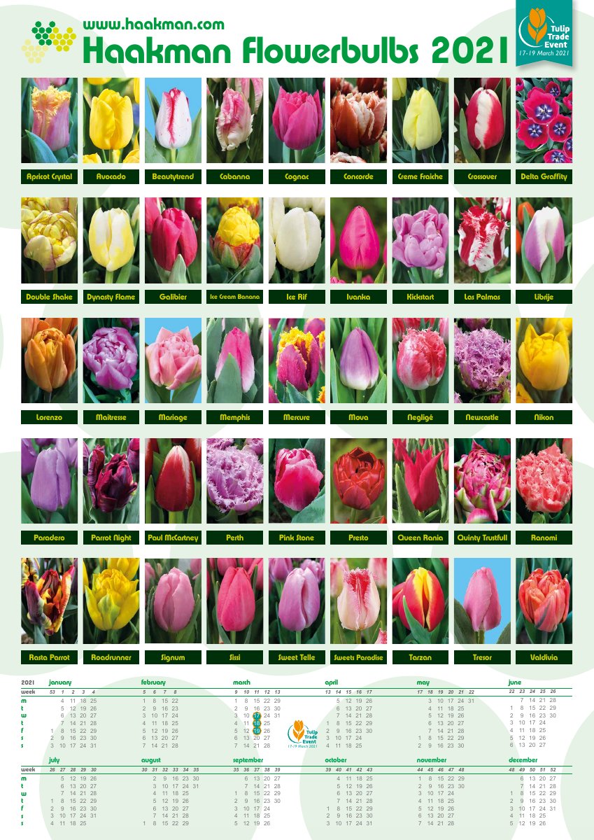 HFB 2021 kalenderposter