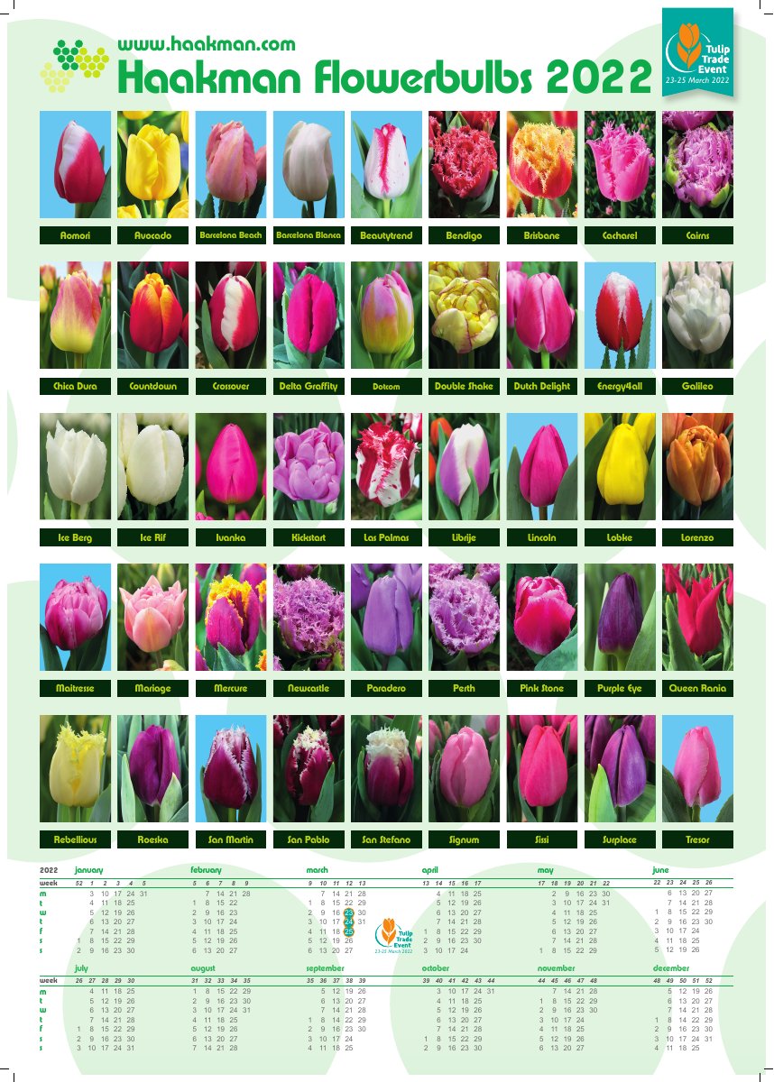 HFB 2022 kalenderposter