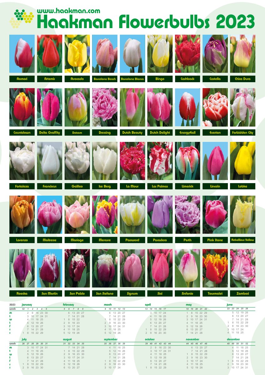 HFB 2023 kalenderposter