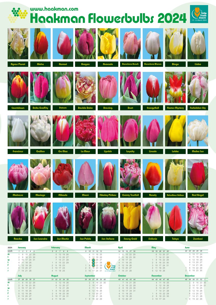 HFB 2024 kalenderposter