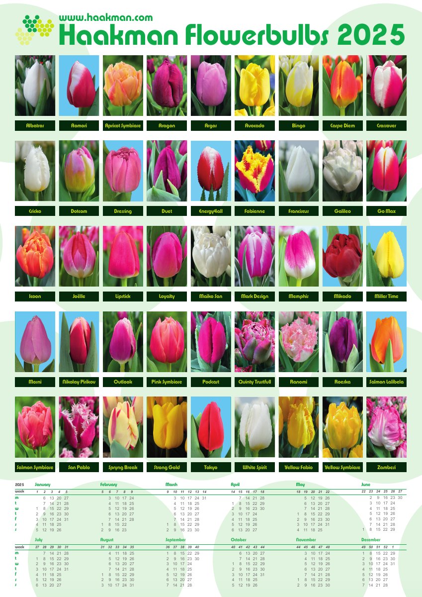 HFB 2025 kalenderposter