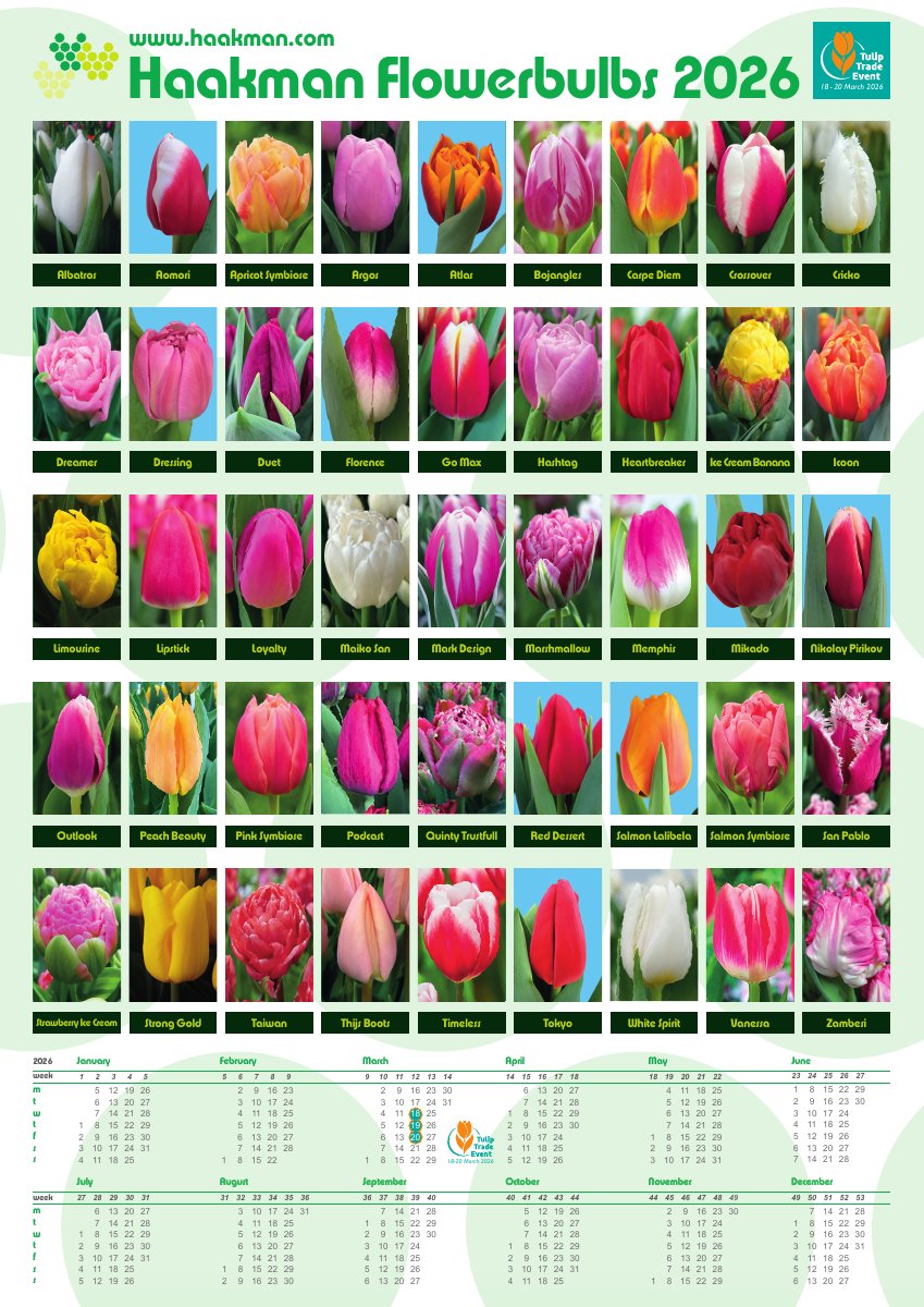 HFB 2026 kalenderposter