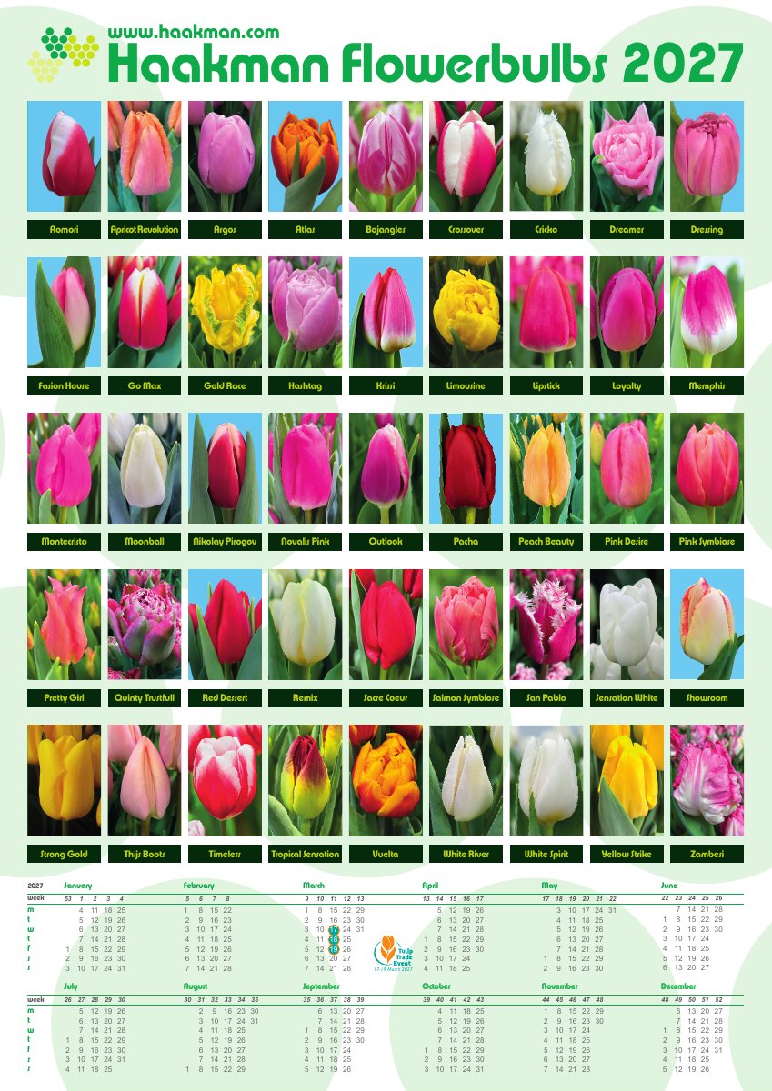 HFB 2027 kalenderposter