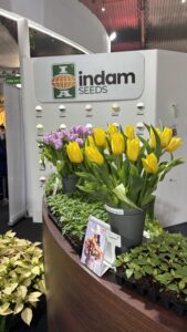 Een bijzondere ontmoeting in Bangalore: Haakman Flowerbulbs overhandigt gele tulp tijdens HortiConnect India 2026 – foto 6